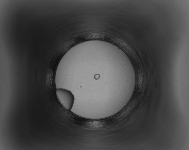 X0000100190326200806201300
