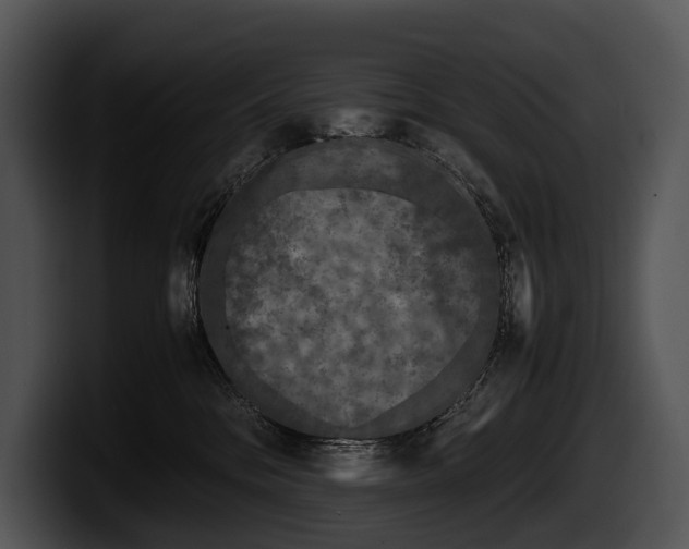 X0000100190328200806201300