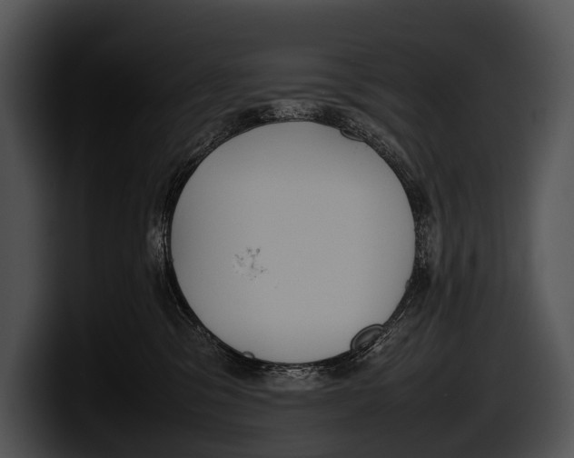 X0000100190329200806201300