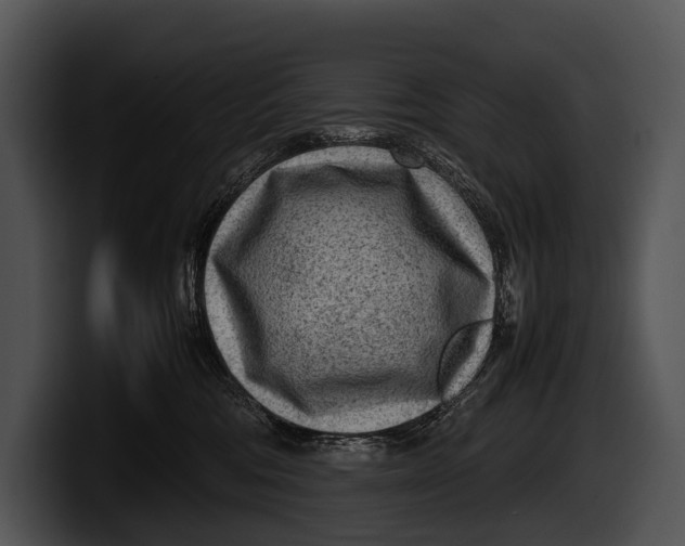 X0000100190330200806201259