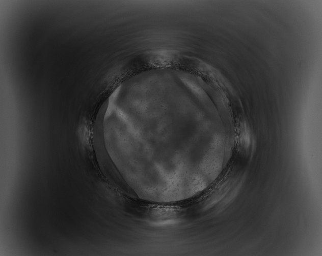 X0000100190332200806201259