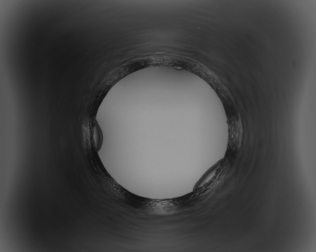 X0000100190333200806201259