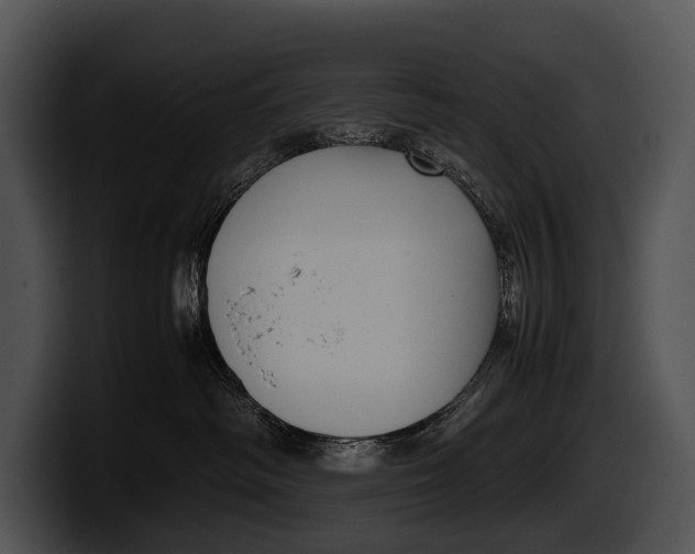 X0000100190334200806201259