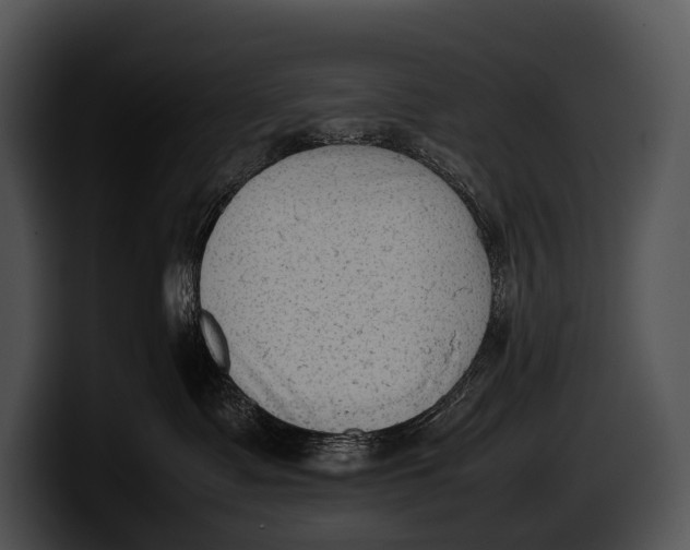 X0000100190335200806201259
