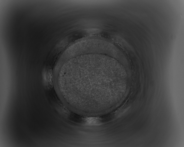 X0000100190336200806201259