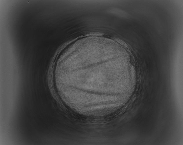 X0000100190337200806201259