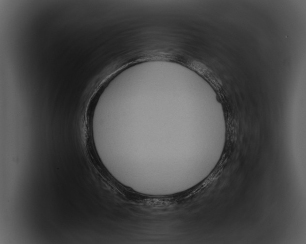 X0000100190338200806201259