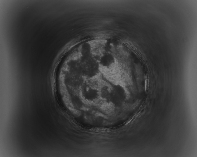 X0000100190339200806201259