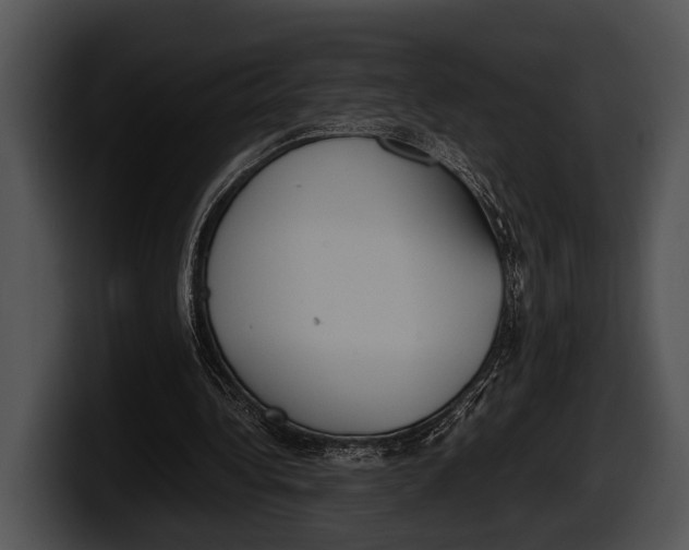 X0000100190340200806201259