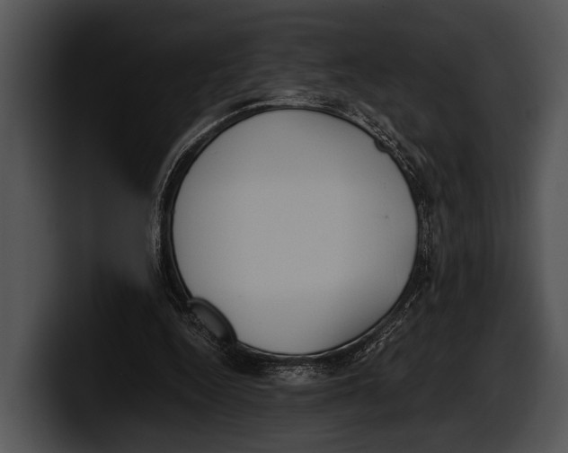 X0000100190344200806201259