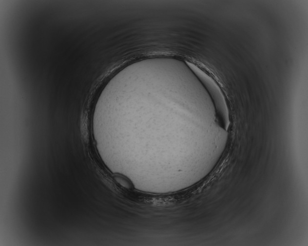 X0000100190345200806201259