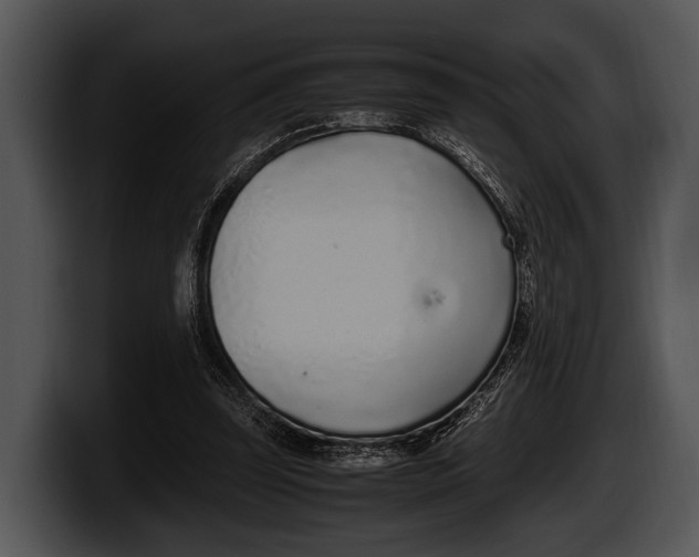 X0000100190347200806201259