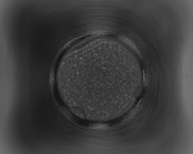 X0000100190348200806201259