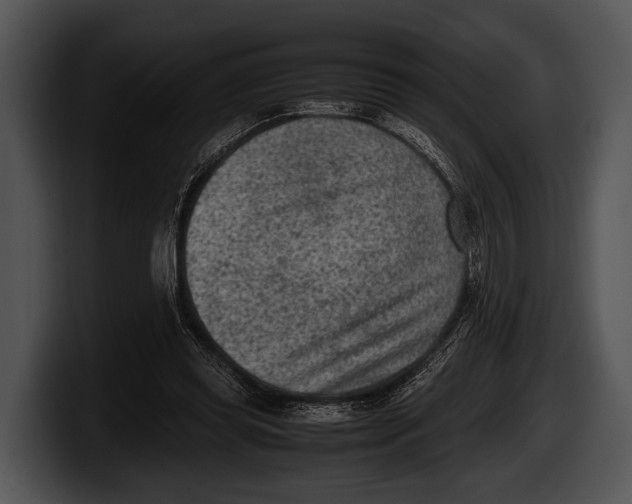 X0000100190349200806201259
