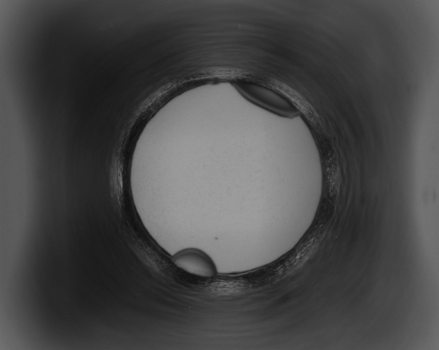 X0000100190350200806201259