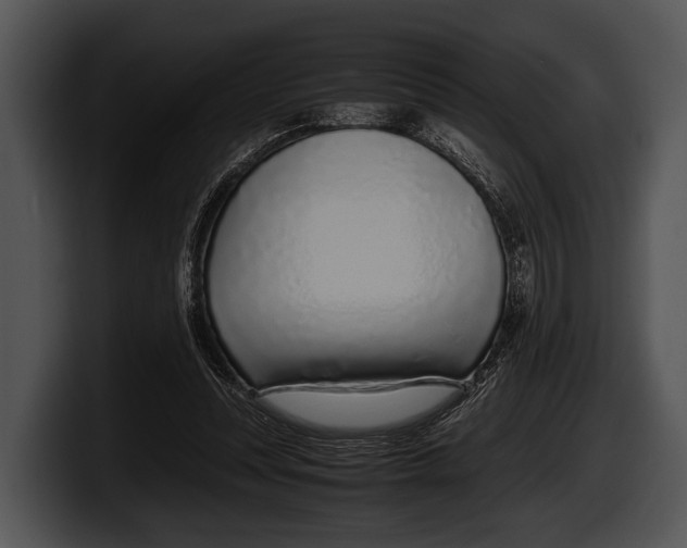 X0000100190351200806201259