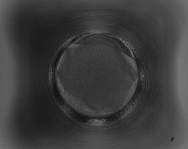 X0000100190352200806201259