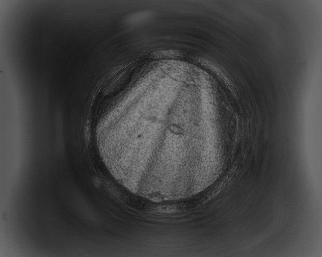 X0000100190353200806201259