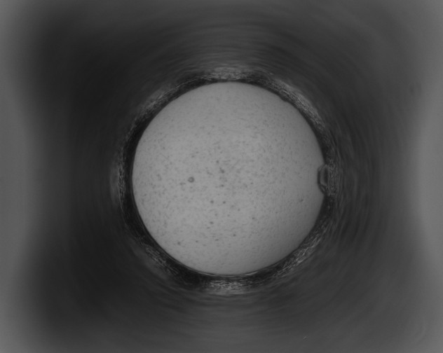 X0000100190354200806201259