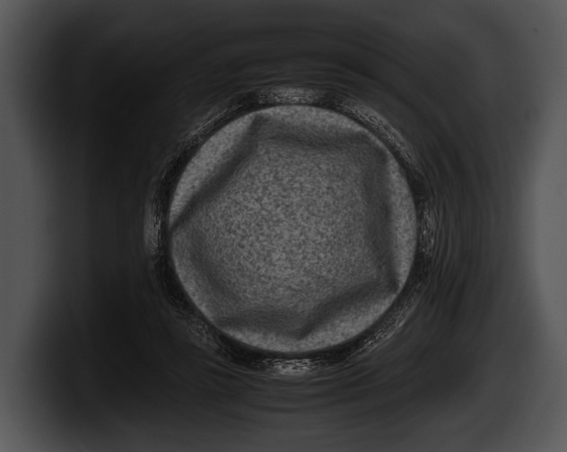 X0000100190355200806201259
