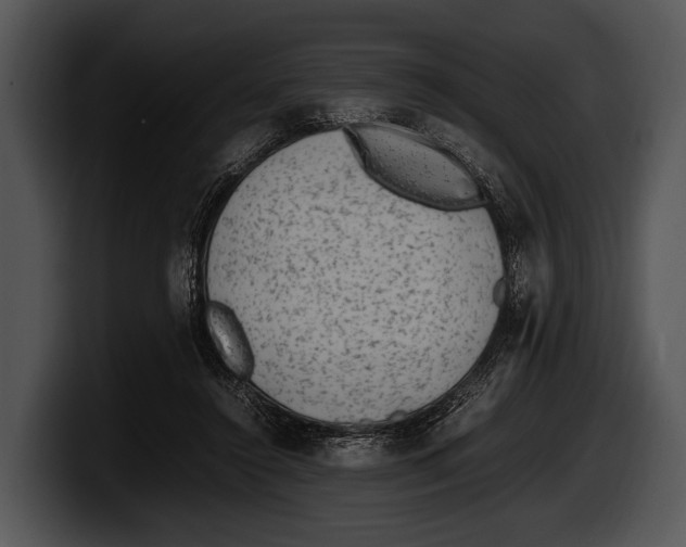 X0000100190356200806201259