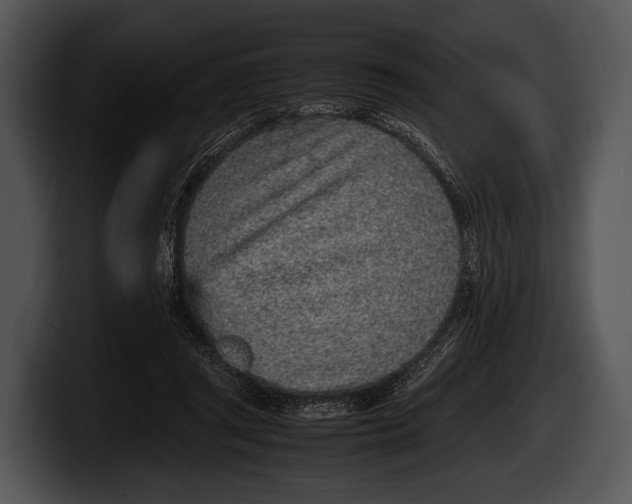 X0000100190357200806201259