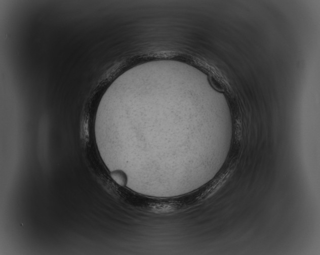 X0000100190358200806201259