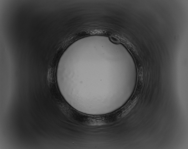 X0000100190359200806201259