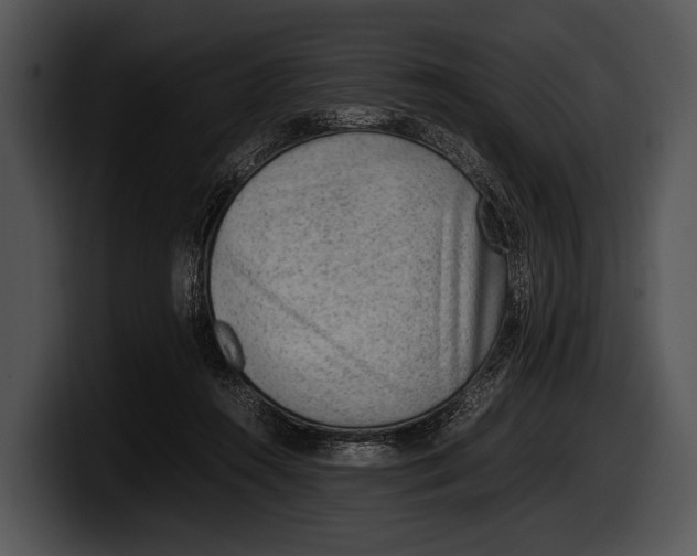 X0000100190360200806201259