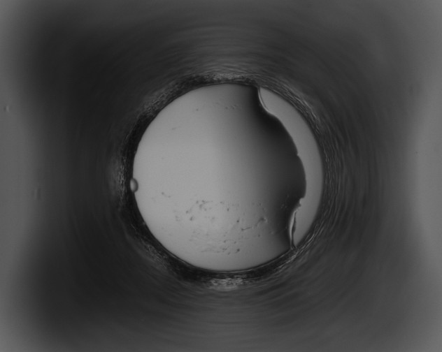 X0000100190362200806201259