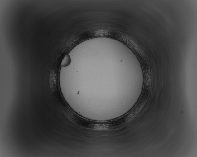 X0000100190363200806201259