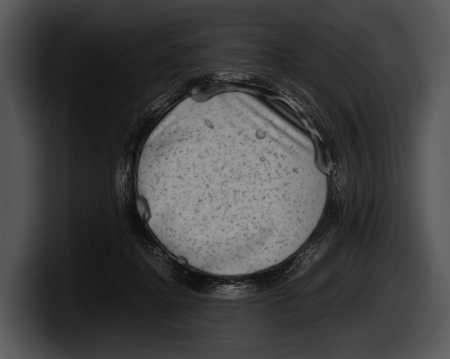 X0000100190364200806201259