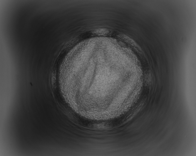X0000100190365200806201259