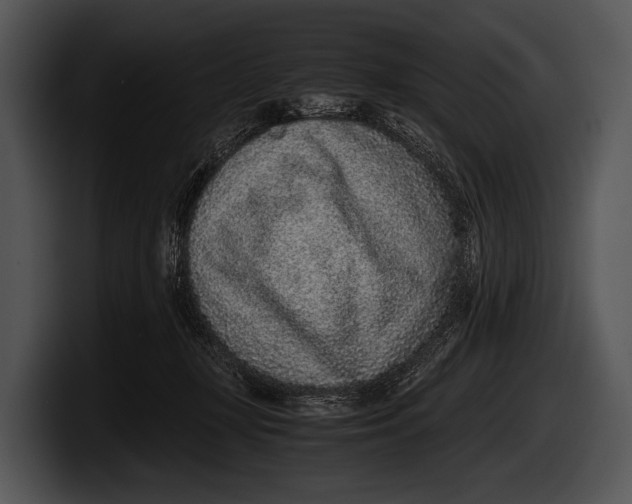 X0000100190367200806201259