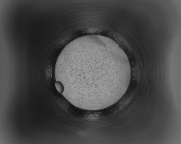 X0000100190368200806201259