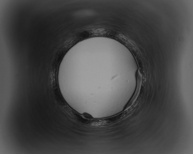 X0000100190369200806201259