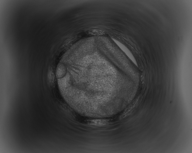 X0000100190371200806201259