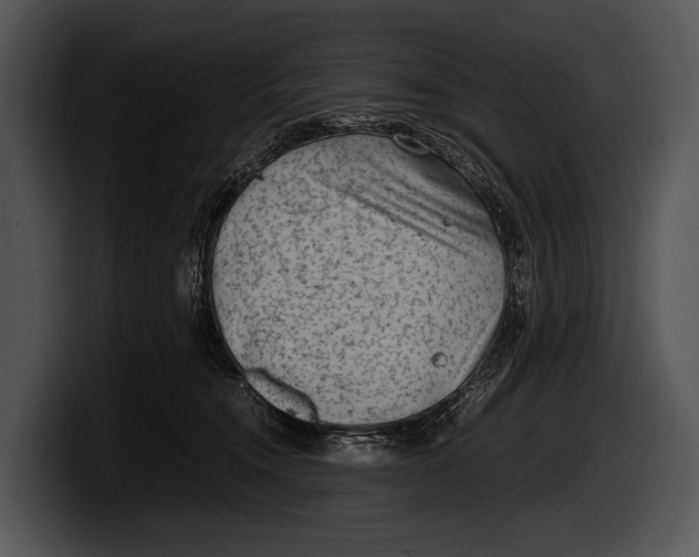 X0000100190372200806201259