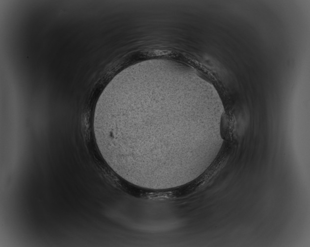 X0000100190373200806201259