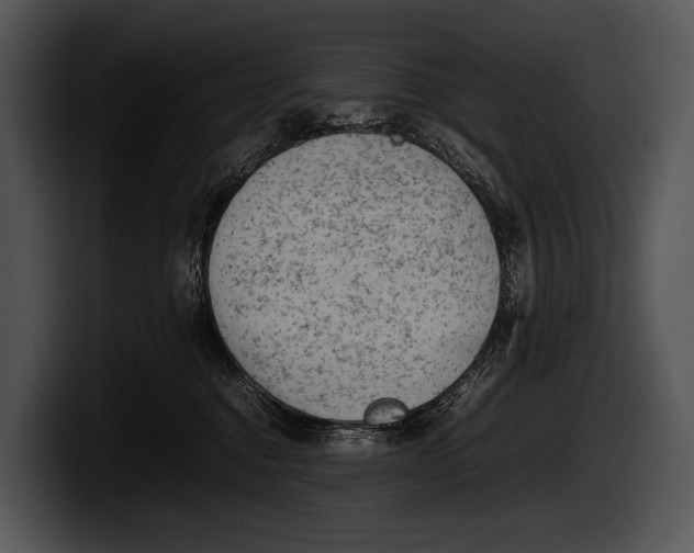 X0000100190376200806201259