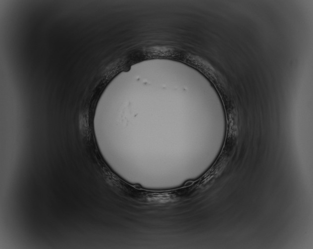X0000100190377200806201259