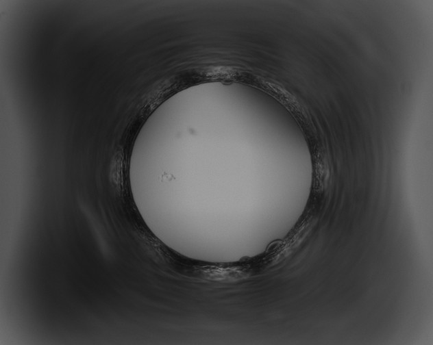 X0000100190379200806201259