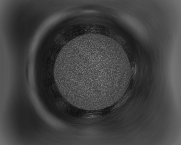 X0000100190381200806201259