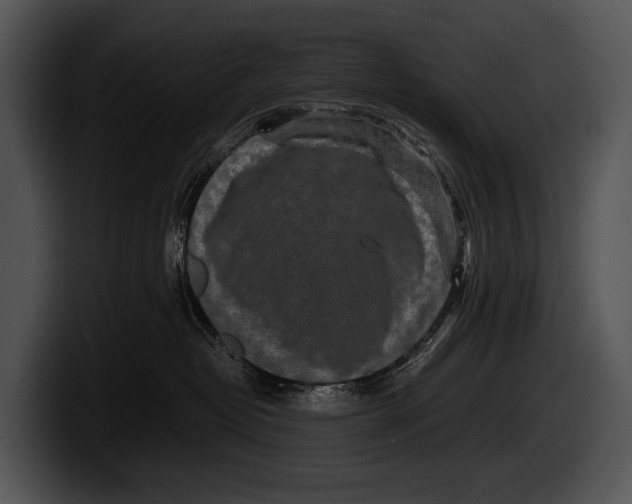 X0000100190382200806201259