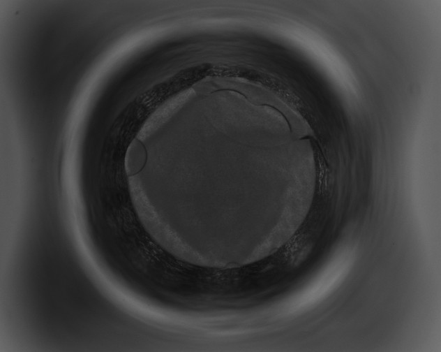 X0000100190383200806201259