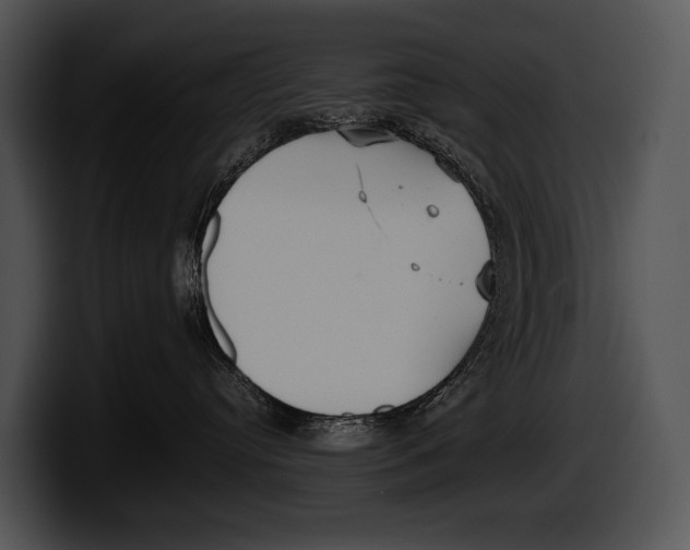 X0000100190384200806201259