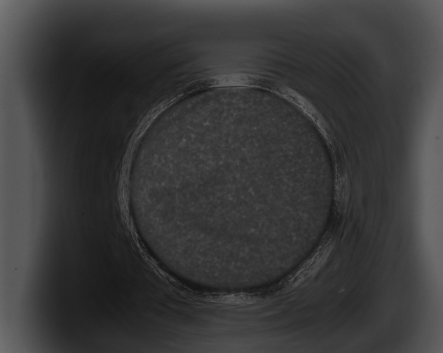 X0000100190385200806201259