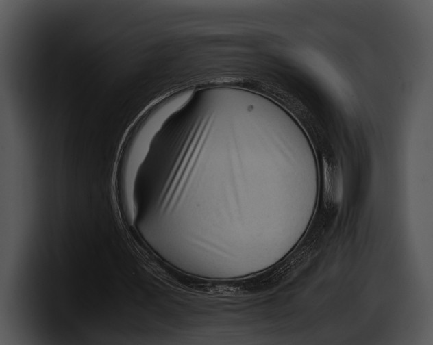 X0000100190387200806201259