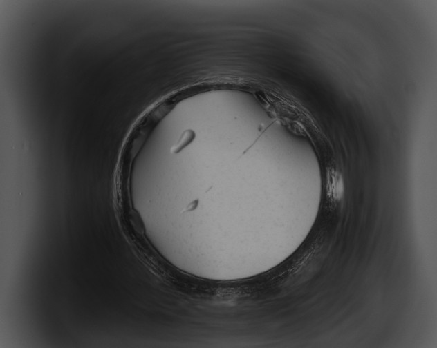 X0000100190388200806201259