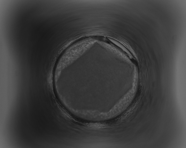 X0000100190389200806201259